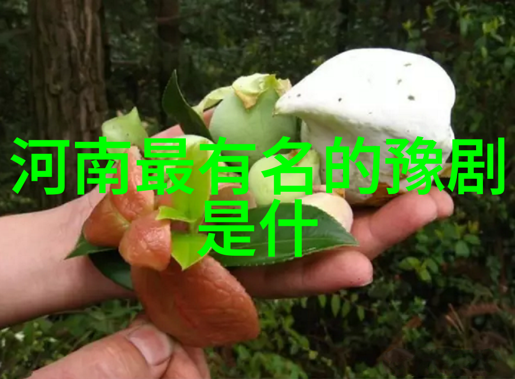 豫剧青年演员张红艳赵孜云均荣获第十届湖北戏剧牡丹花奖